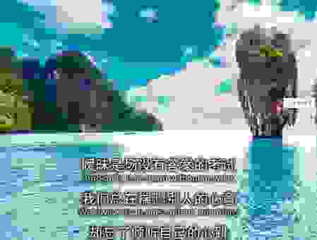 深入解析commie这个称呼背后的政治和社会含义