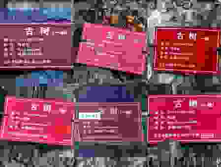 积基树本的意思是什么？这样理解才不会用错地方