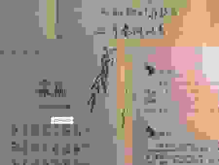 柳影花阴什么意思？教你轻松理解这个成语