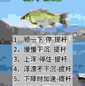solunar钓鱼法真的准吗？资深钓友分享实战经验