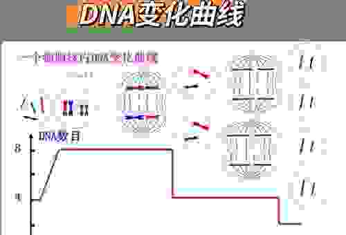 多头是什么意思？新手必看搞懂这个专业术语！