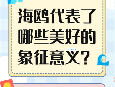 seagull是什么意思？海鸥的英文含义及象征意义详解