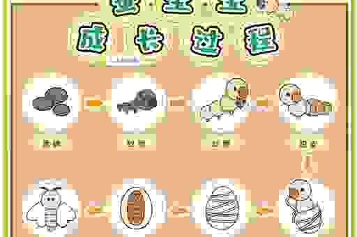 蚕桑的意思是什么？基础知识科普让你一看就懂