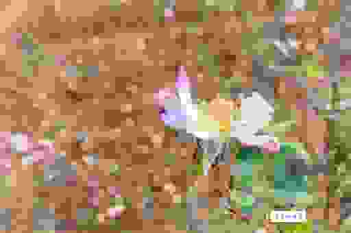 快速了解翠消红减是什么意思？资深文人这样解读