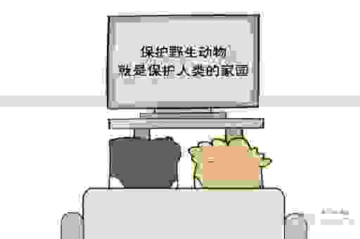 为什么大家都问一路是什么意思？答案在这里揭晓