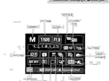 经常听人说“相机而行”什么意思？给你详细解释一下！