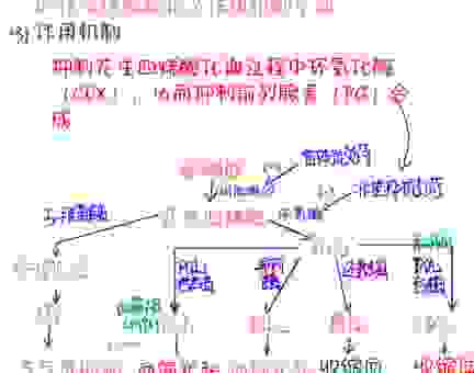 医药领域中常用的thickener增稠剂配方大公开