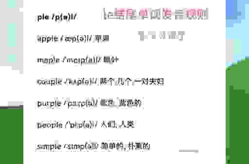 WANGLE是什么东西?小白也能看懂的详细介绍和用法