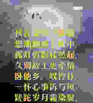 读懂暗想窗中还夜啼,感受诗人那份孤独心情!