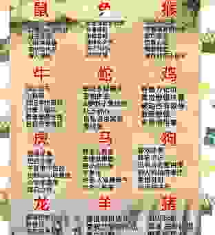 夜眠成梦打一生肖是啥？这个生肖的特点你都知道吗？