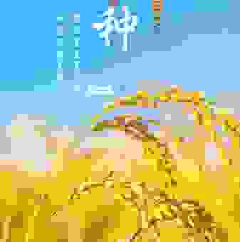 芒种节气是什么意思？一文读懂二十四节气的重要节点