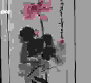 芙蓉出水妒花钿,这感觉就像画里走出来一样!