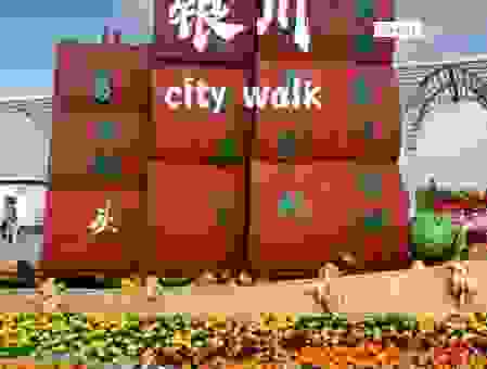 哪里可以学银川打一个字?这几个地方非常靠谱