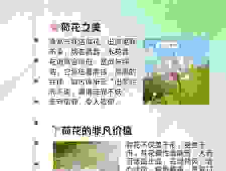 一叶青荷的意思是什么？真正含义你知道多少？