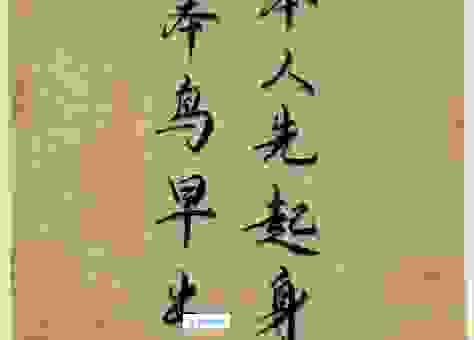 想成功就要笨鸟先飞早入林 笨人先学早入门的行动指南