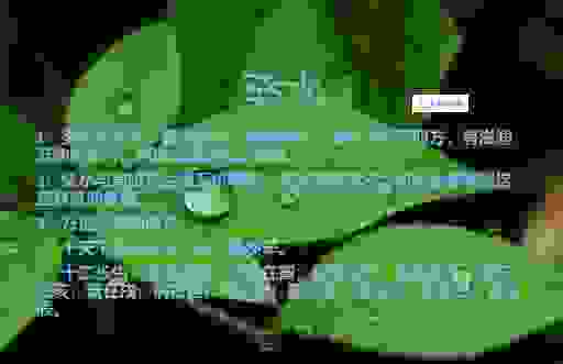 癸水是什么意思？从不同角度解读癸水的深层含义