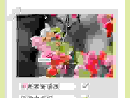 搞清楚花枝是什么意思,了解它在不同语境中的表达