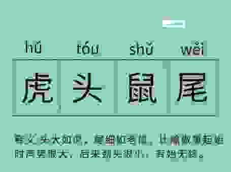 兔子请老虎打一成语的答案是什么?快速学会这个趣味成语!