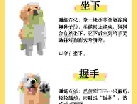 入门无犬吠打一字是哪个字 老手教你快速解答
