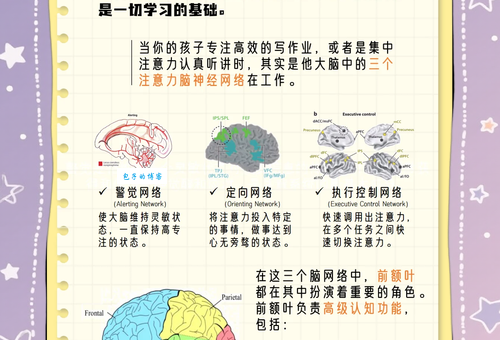 脑交是什么检查项目？详细了解为什么要做这个