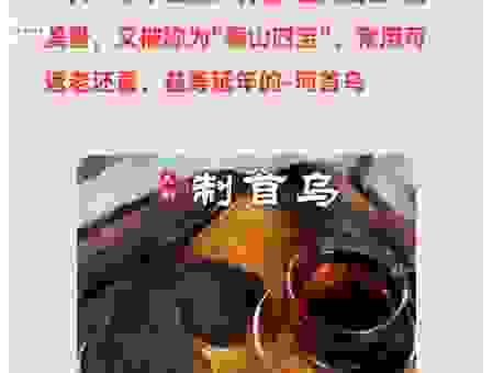 快速解密一江春水向东流打一中草药名的正确答案