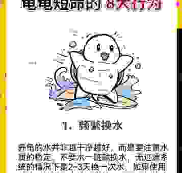 养龟穷三代什么意思?养龟人偷偷告诉你真相!