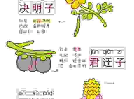 举头望明月打一中药名是什么？这个谜底其实很简单！