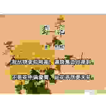 听说中秋赏菊打一成语很难？其实很简单学会这个就懂