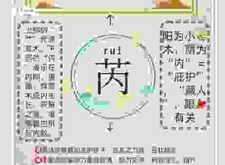 “芮”字代表什么意思?让你轻松搞懂字的意义