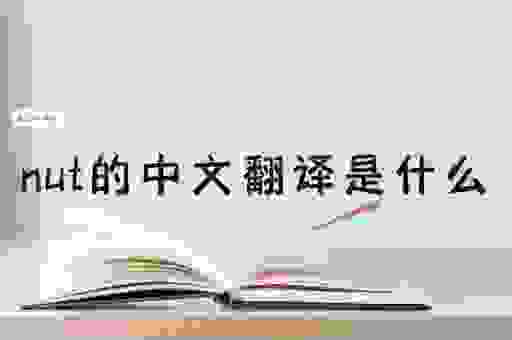 nutshel是什么意思？看完这篇你就彻底明白了
