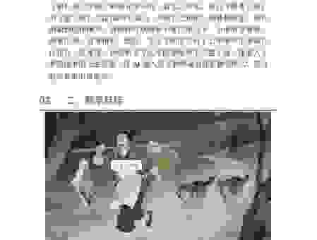 苍狼是什么意思？探究这个词语背后的真实含义！