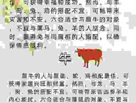 狭路相逢生肖是什么？看完你就全明白了！