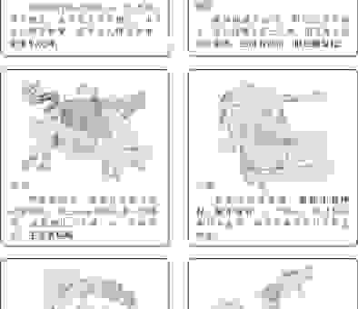 骑马找马是什么生肖？这个生肖很多人都不知道！