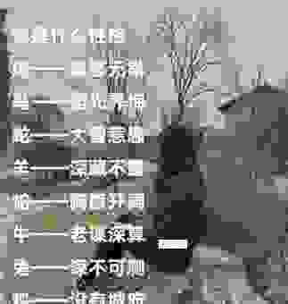 专横跋扈是什么生肖?这几个生肖让你没脾气!