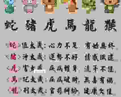 三九严寒打一生肖,这个生肖到底是谁? 三九严寒打一生肖,这个生肖到底是谁?