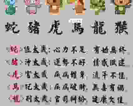 倾国倾城打一生肖,这个生肖的特征太明显了!