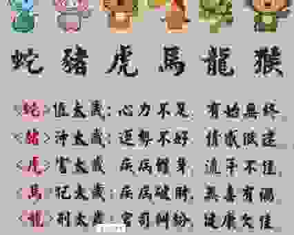 关于喧宾夺主打一准确生肖的答案，原来是这个！