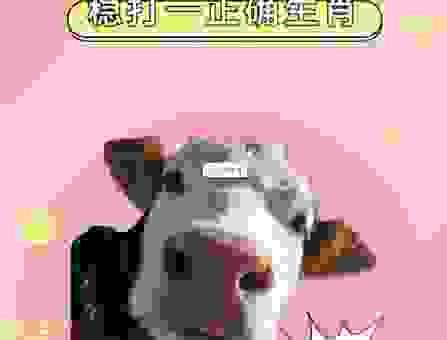 三九严寒打一正确生肖,老一辈的经验分享 三九严寒打一正确生肖,老一辈的经验分享