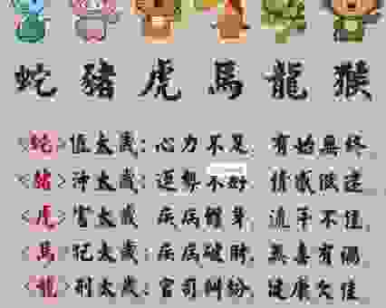 三九严寒打一正确生肖,老一辈的经验分享