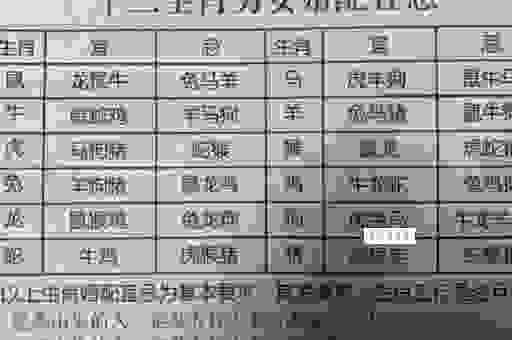 专横跋扈猜生肖技巧有哪些？教你轻松猜中