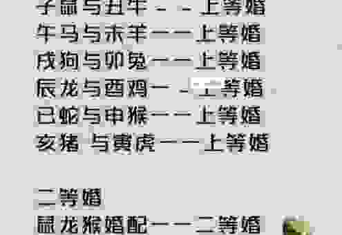 倾国倾城是什么生肖？生肖配对秘籍大公开！
