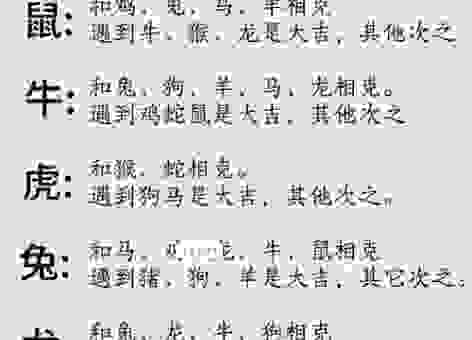 趾高气扬是什么生肖?了解生肖性格一眼看穿!