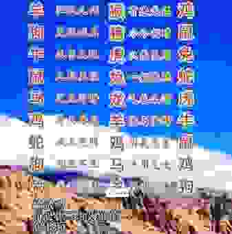 感激涕零打一准确生肖是什么?专家揭秘正确答案!