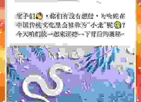 人五人六是什么生肖?你知道属龙人的神秘之处吗