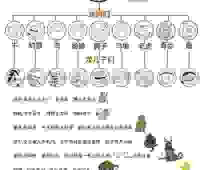 人五人六是什么生肖?你知道属龙人的神秘之处吗