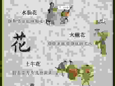 移花接木打一生肖,你知道是哪个吗?