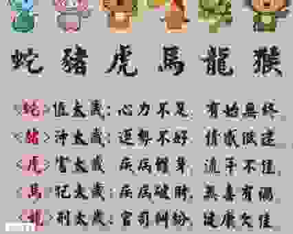 惹火上身指的生肖是哪几位？新手也能轻松分辨！