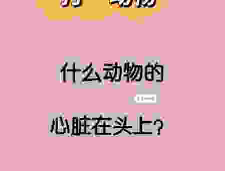 喧宾夺主打一动物，聪明人一秒就知道答案！