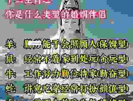 狗血喷头打一准确生肖，你知道是哪个生肖吗？