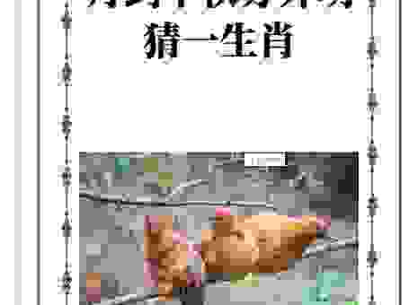 醇酒美人打一准确生肖猜对了吗?这个生肖藏着大秘密!
